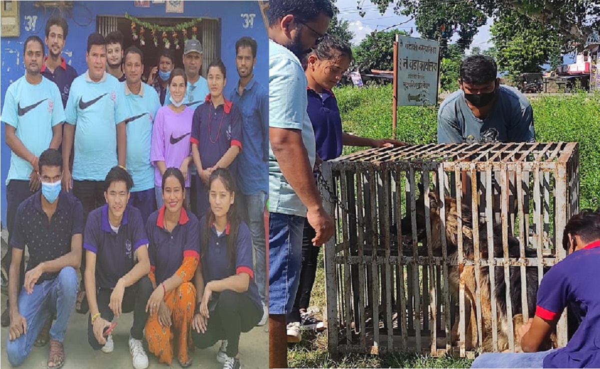 विश्व रेबिज विरुद्धको दिवस : गोदावरीमा ७७ वटा कुकुरलाई निशुल्क खोप लगाइयो