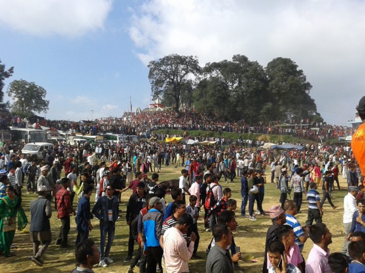 बैतडीमा आज एकै दिन ४ सय २४ राँगाको बली दिइयो